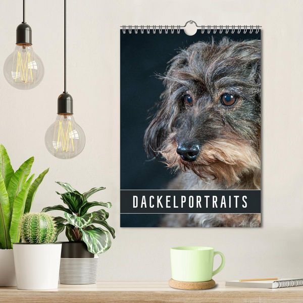 Produktbild: Dackelportraits (Wandkalender 2026 DIN A4 hoch), CALVENDO Monatskalender