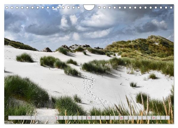 Produktbild: Amrum, die Perle in der Nordsee (Wandkalender 2026 DIN A4 quer), CALVENDO Monatskalender