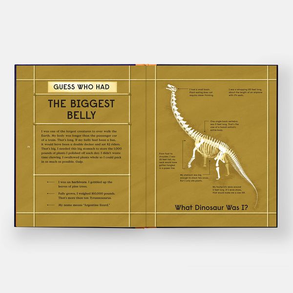 Produktbild: Book of Dinosaurs