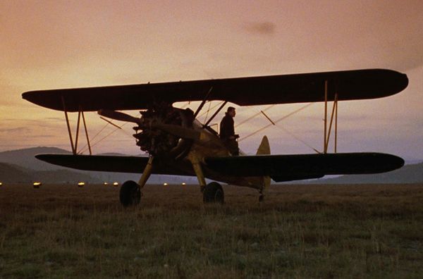 Produktbild: The Aviator - Absturz in der Wildnis