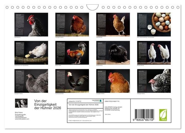 Produktbild: Von der Einzigartigkeit der H&uuml;hner 2026 (Wandkalender 2026 DIN A4 quer), CALVENDO Monatskalender