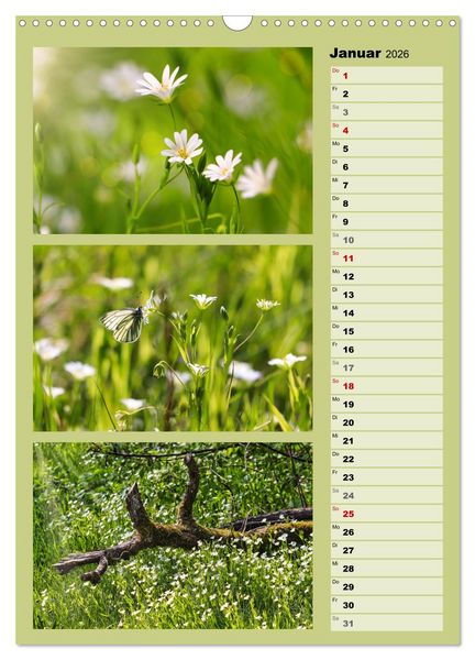 Produktbild: Farbenzauber, bunte Wiesen und bunte Falter (Wandkalender 2026 DIN A3 hoch), CALVENDO Monatskalender