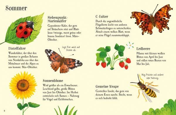 Produktbild: Usborne Minis Naturf&uuml;hrer: Im Garten