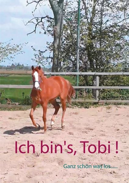 Produktbild: Ich bin's, Tobi !