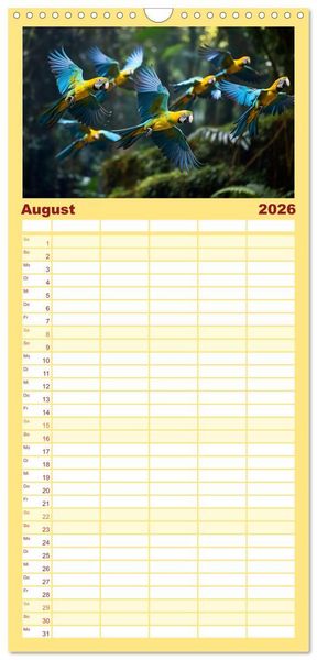 Produktbild: Familienplaner 2026 - Die Magie der Masse mit 5 Spalten (Wandkalender, 21 x 45 cm) CALVENDO