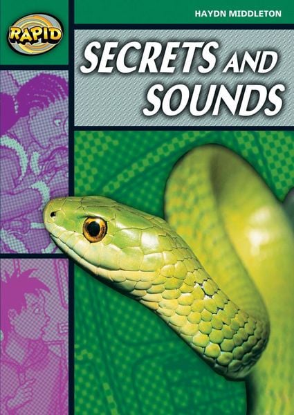 Produktbild: Rapid Reading: Secrets & Sounds (Stage 5, Level 5b)