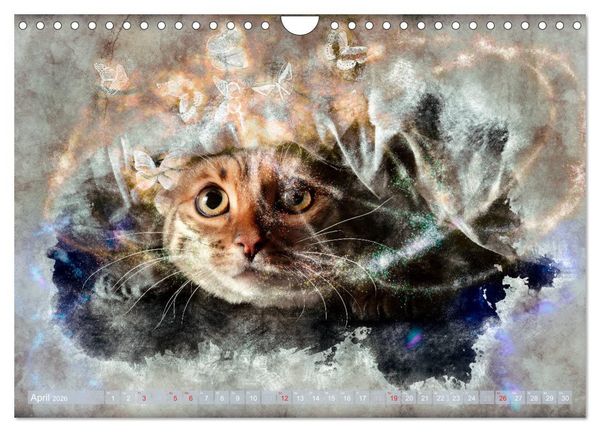 Produktbild: Katzenkalender mausgemalt (Wandkalender 2026 DIN A4 quer), CALVENDO Monatskalender