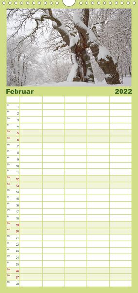 Produktbild: Familienplaner Weltnaturerbe Hainich (Wandkalender 2022 , 21 cm x 45 cm, hoch)