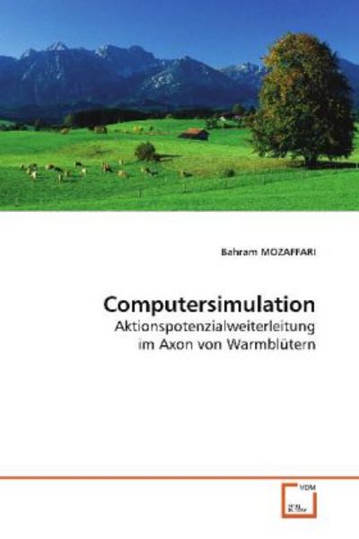 MOZAFFARI, B: Computersimulation, Taschenbuch von Bahram Mozaffari, VDM, 9783639137200