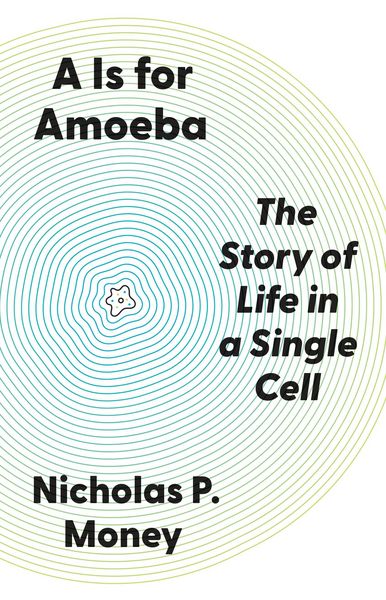 Produktbild: A is for Amoeba