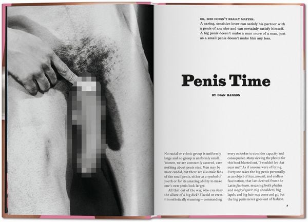 Produktbild: The Little Big Penis Book