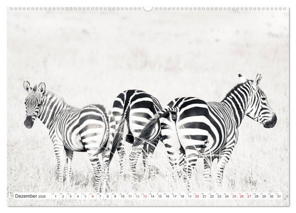 Produktbild: Emotionale Momente: Zebras - black & white. (hochwertiger Premium Wandkalender 2026 DIN A2 quer), Kunstdruck in Hochglanz