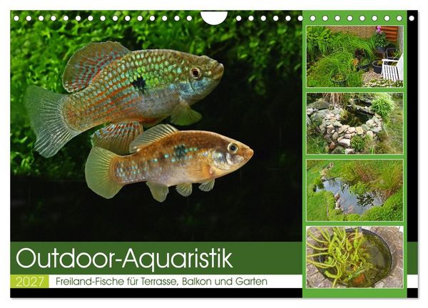 Produktbild: Outdoor-Aquaristik (Wandkalender 2027 DIN A4 quer), CALVENDO Monatskalender