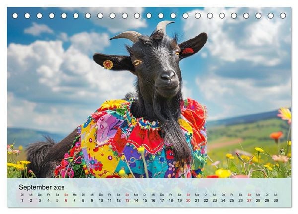 Produktbild: Ziegen im Modezauber. Ein alpiner Fashion-Marathon (Tischkalender 2026 DIN A5 quer), CALVENDO Monatskalender