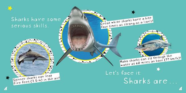 Produktbild: So Cool! Sharks