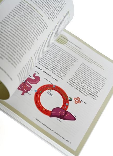 Produktbild: Die Ern&auml;hrungs-Docs &ndash; Cholesterin senken &ndash; Unsere 100 besten Rezepte