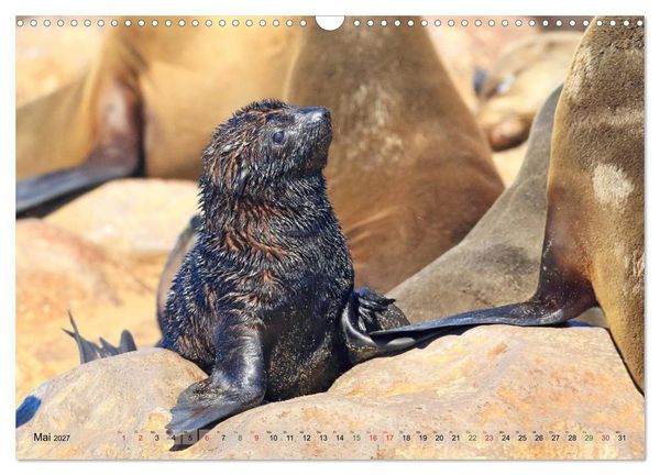 Produktbild: Wildes Kinderzimmer - Tierkinder in Afrika (Wandkalender 2027 DIN A3 quer), CALVENDO Monatskalender