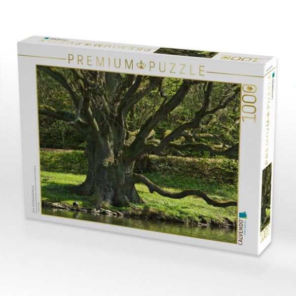 Produktbild: CALVENDO Puzzle Eiche, Schlo&szlig;park B&uuml;ckeburg | 1000 Teile Lege-Gr&ouml;&szlig;e 64x48cm Foto-Puzzle f&uuml;r gl&uuml;ckliche Stunden