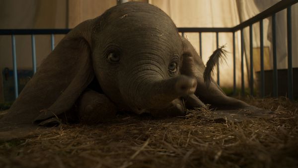 Produktbild: Dumbo (Live-Action) (4K Ultra HD) (+ Blu-ray 2D)