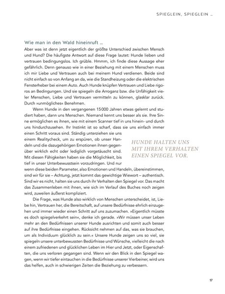Produktbild: Das Geheimnis der Spiegelung