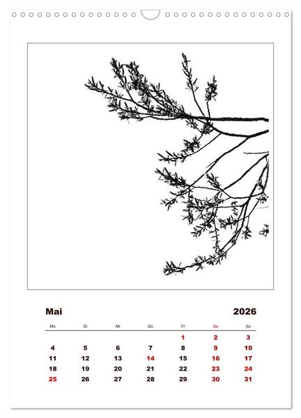 Produktbild: LignoGrafica - Muster und Strukturen der B&auml;ume (Wandkalender 2026 DIN A3 hoch), CALVENDO Monatskalender