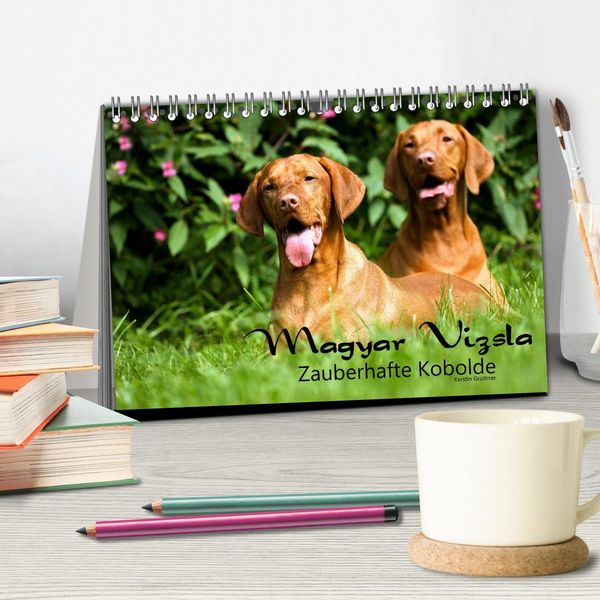 Produktbild: Magyar Vizsla - Zauberhafte Kobolde (Tischkalender 2026 DIN A5 quer), CALVENDO Monatskalender