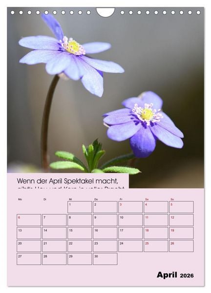 Produktbild: Wetter-Regeln der Bauern (Wandkalender 2026 DIN A4 hoch), CALVENDO Monatskalender