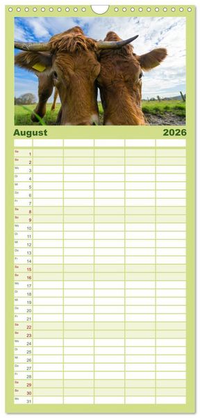 Produktbild: Familienplaner 2026 - Kuhckst du? mit 5 Spalten (Wandkalender, 21 x 45 cm) CALVENDO