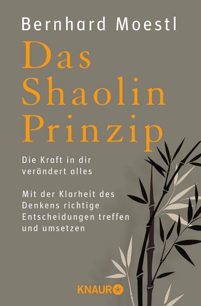 Produktbild: Das Shaolin-Prinzip
