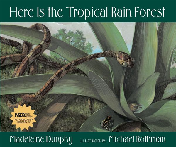 Produktbild: Here Is the Tropical Rain Forest