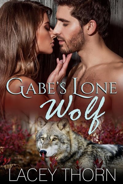 Produktbild: Gabe's Lone Wolf (James Pack, #6)