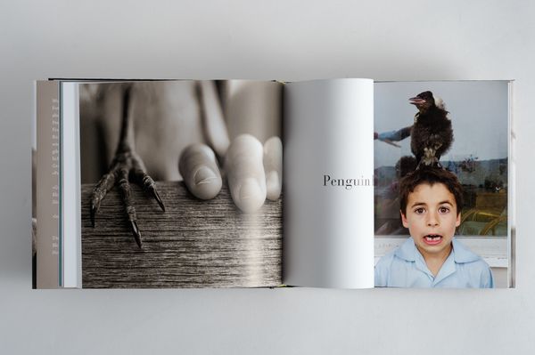 Produktbild: Penguin Bloom