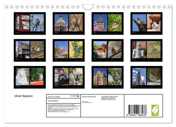Produktbild: Ulmer Spatzen (Wandkalender 2026 DIN A4 quer), CALVENDO Monatskalender