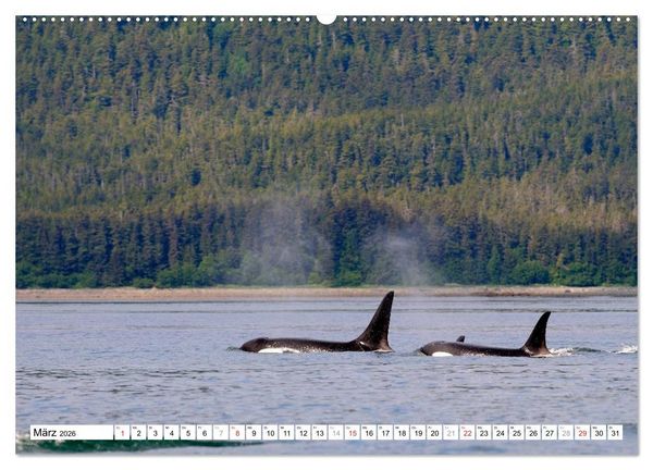 Produktbild: Alaska - Lockruf der Wildnis (hochwertiger Premium Wandkalender 2026 DIN A2 quer), Kunstdruck in Hochglanz