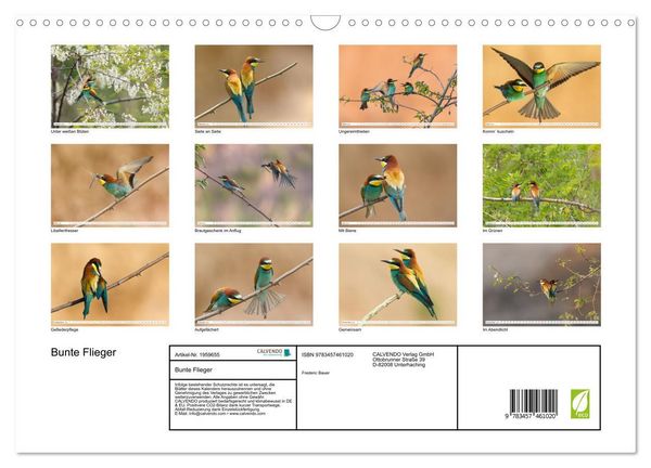 Produktbild: Bunte Flieger (Wandkalender 2026 DIN A3 quer), CALVENDO Monatskalender