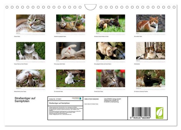 Produktbild: Stra&szlig;entiger auf Samtpfoten (Wandkalender 2026 DIN A4 quer), CALVENDO Monatskalender