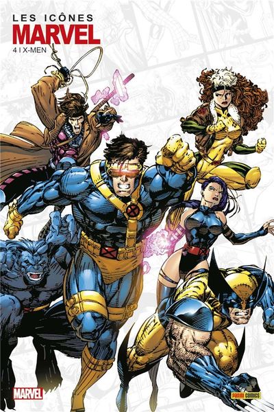 Produktbild: Les icones de marvel no04 : x-men
