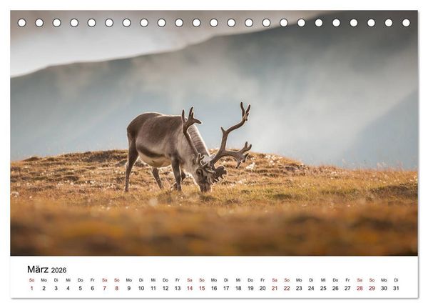 Produktbild: Spitzbergenkalender (Tischkalender 2026 DIN A5 quer), CALVENDO Monatskalender