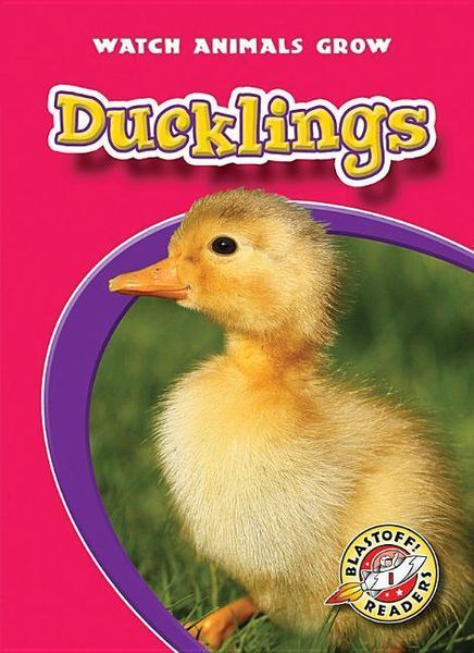 Produktbild: Ducklings