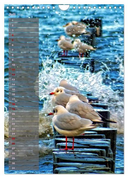 Produktbild: Ostsee Tour Deutschland - maritime Highlights (Wandkalender 2026 DIN A4 hoch), CALVENDO Monatskalender