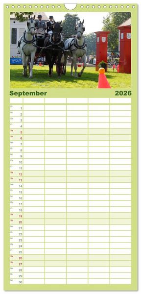 Produktbild: Familienplaner 2026 - CIAT - Historischer Fahrsport in Celle mit 5 Spalten (Wandkalender, 21 x 45 cm) CALVENDO