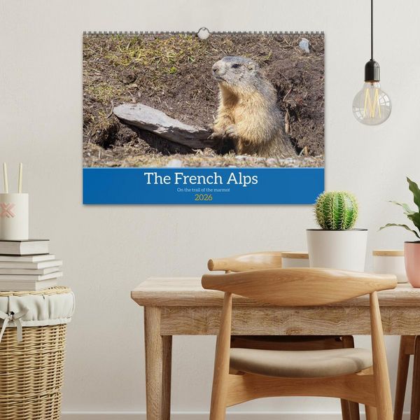 Produktbild: The French Alps, on the trail of the marmot (Wall Calendar 2026 DIN A3 landscape), CALVENDO 12 Month Wall Calendar