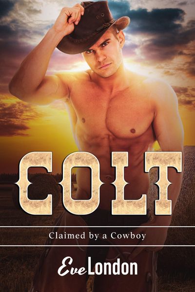 Produktbild: Colt (Claimed by a Cowboy, #2)