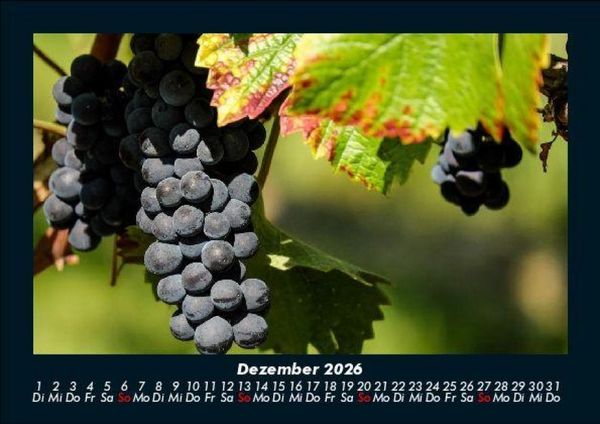 Produktbild: Fr&uuml;chte 2026 Fotokalender DIN A5