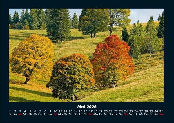 Produktbild: B&auml;ume 2026 Fotokalender DIN A4