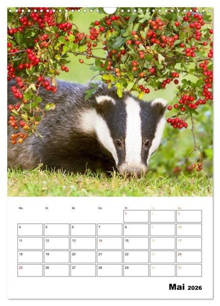 Produktbild: Wilde Tiere: Zuhause in Wald und Flur (Wandkalender 2026 DIN A3 hoch), CALVENDO Monatskalender