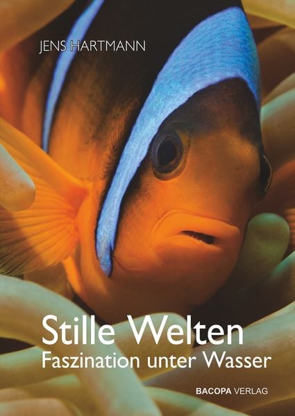 Produktbild: Stille Welten