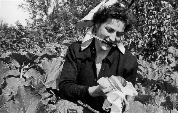 Produktbild: Lee Miller - Fotografin zwischen Krieg und Glamour