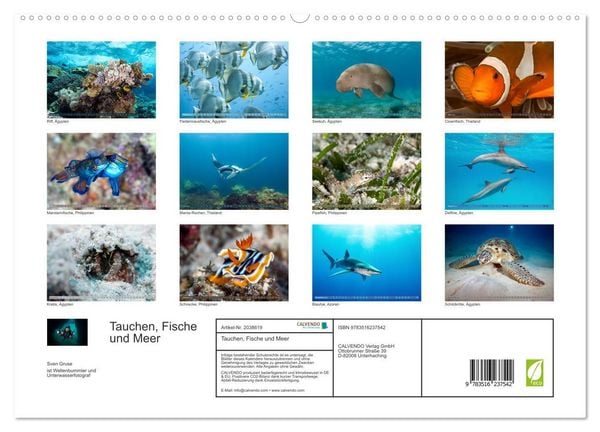 Produktbild: Tauchen, Fische und Meer (Wandkalender 2026 DIN A2 quer), CALVENDO Monatskalender