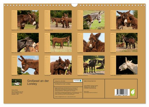 Produktbild: Gro&szlig;esel an der Loreley (Wandkalender 2026 DIN A3 quer), CALVENDO Monatskalender
